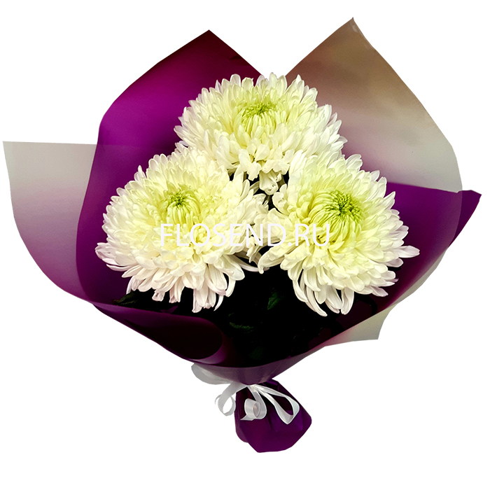Букет «3 белых одиночных хризантем»