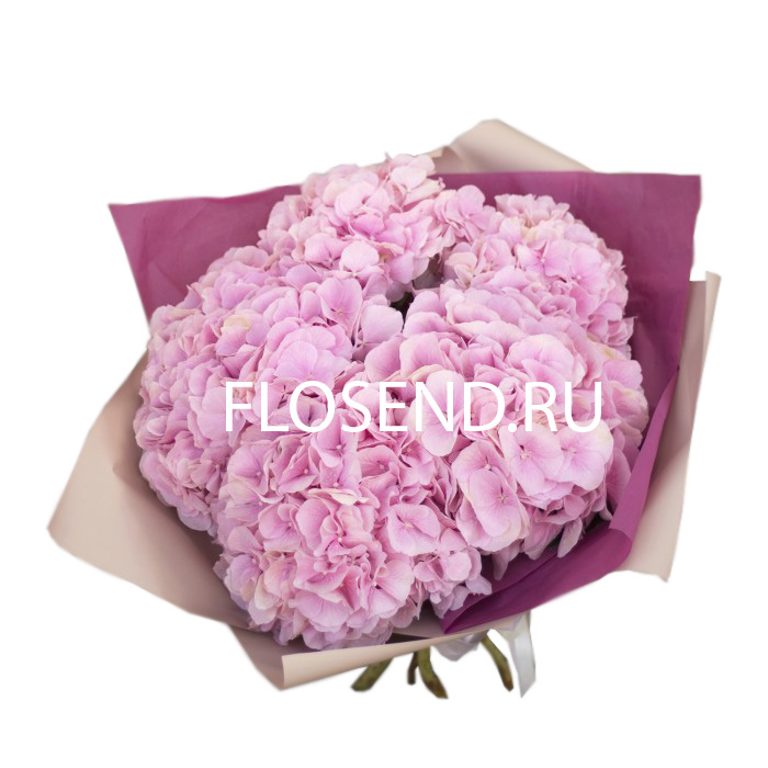 Букет «5 розовых гортензий»